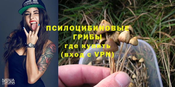 первитин Горнозаводск