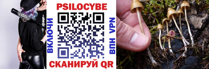 Псилоцибиновые грибы Psilocybine cubensis  закладка  Бердск 